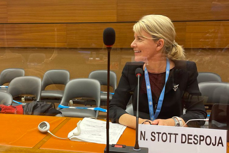 N. Stott Despoja N. Stott Despoja