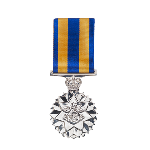Defence Force Service Medal front Defence Force Service Medal front