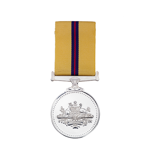 Iraq Medal front Iraq Medal front