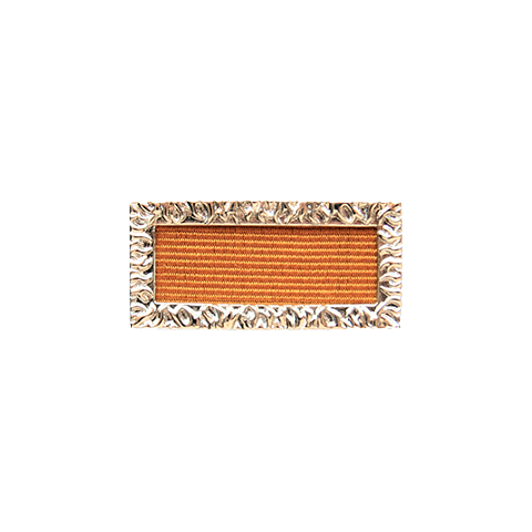 Meritorious Unit Citation back Meritorious Unit Citation back