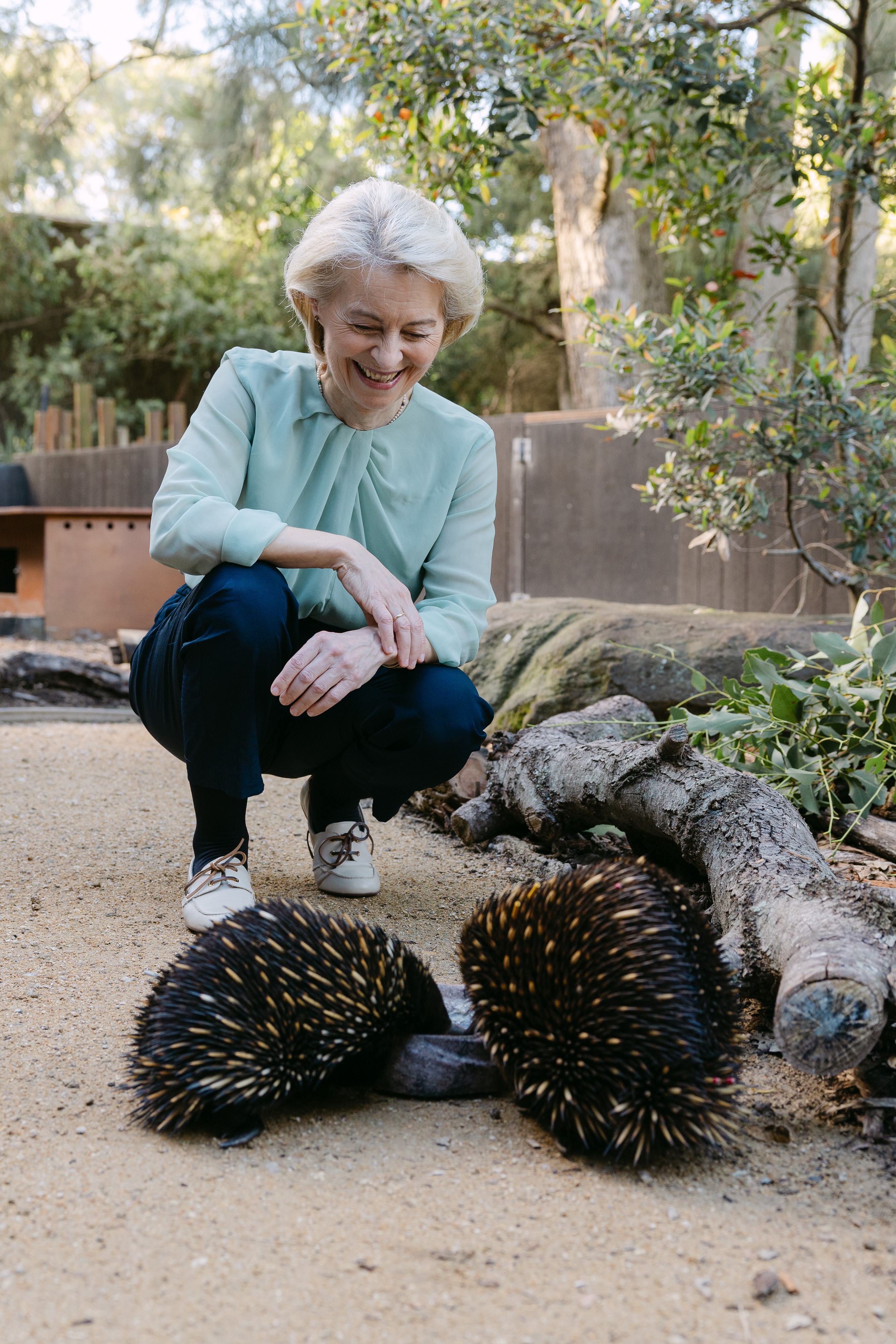 Ursula von der Leyen crouching and smiling as she looks at two echidnas on the ground in a naturalistic zoo setting.