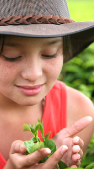 Girl holding a growing plant in her hands