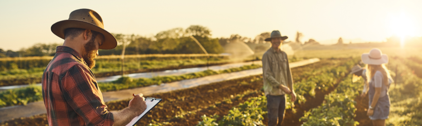 Farmers in a field