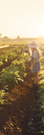 Farmer in a field