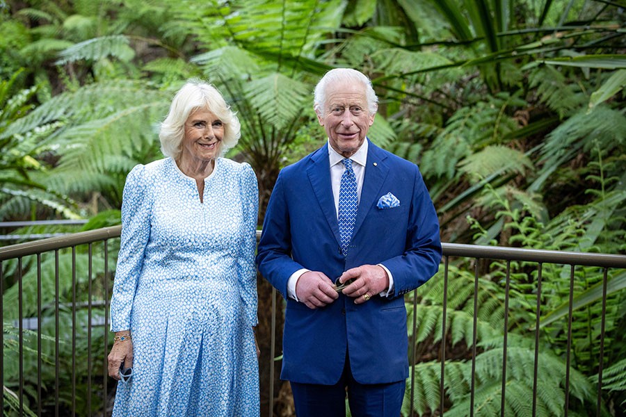 Their Majesties stand and smile in front of a dense wall of bright green rainforest plants.