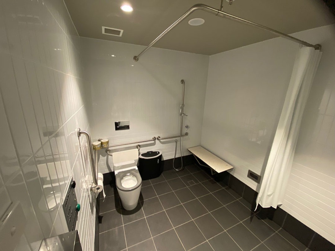Shows inside an accessible bathroom with a toilet in the left of the room, with an accessible shower, wall mounted hand rails and with a wall mounted bench on the right.
