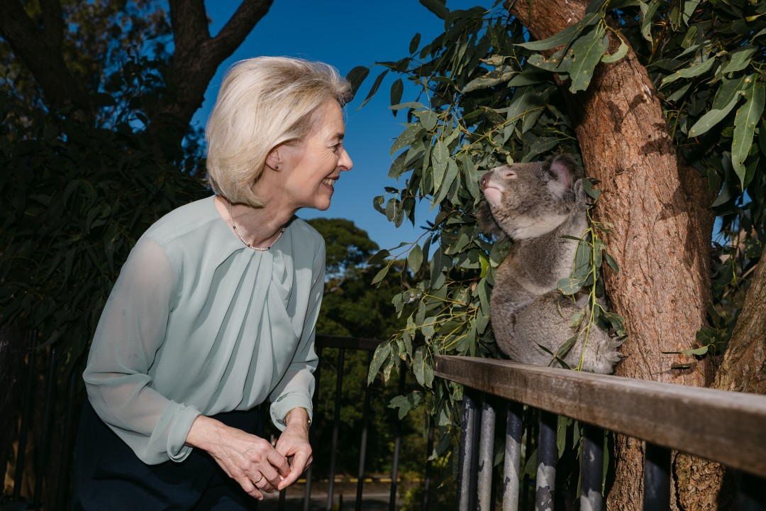 Ursula von der Leyen smiling and leaning toward a koala sitting in a eucalyptus tree at Taronga Zoo.