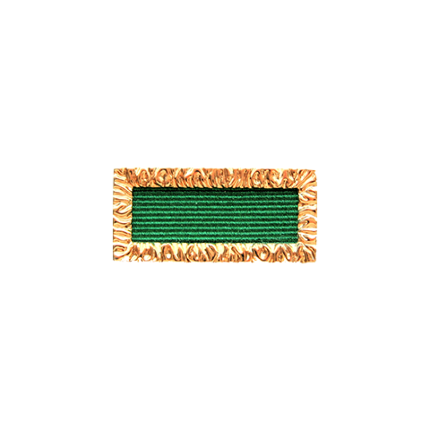 Unit Citation for Gallantry back
