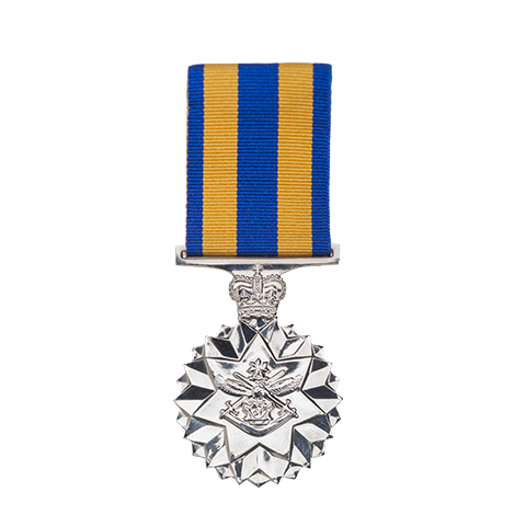 Defence Force Service Medal front Defence Force Service Medal front