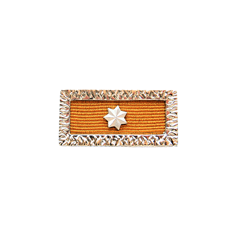 Meritorious Unit Citation front Meritorious Unit Citation front