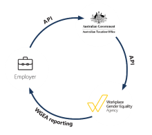 Arrows rotating right connecting Australian Taxation Office (ATO) to Workplace Gender Equality Agency (WGEA) Via API then WGEA to Employer via WGEA reporting and Employer back to ATO via API