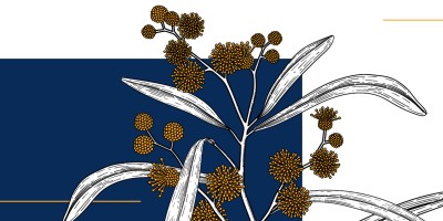 Australian floral emblem