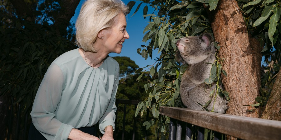 Ursula von der Leyen smiling and leaning toward a koala sitting in a eucalyptus tree at Taronga Zoo.